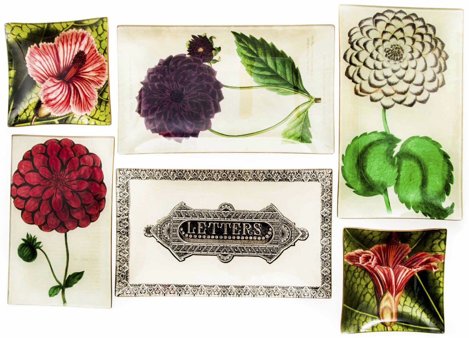 gil11-e1481315709974-