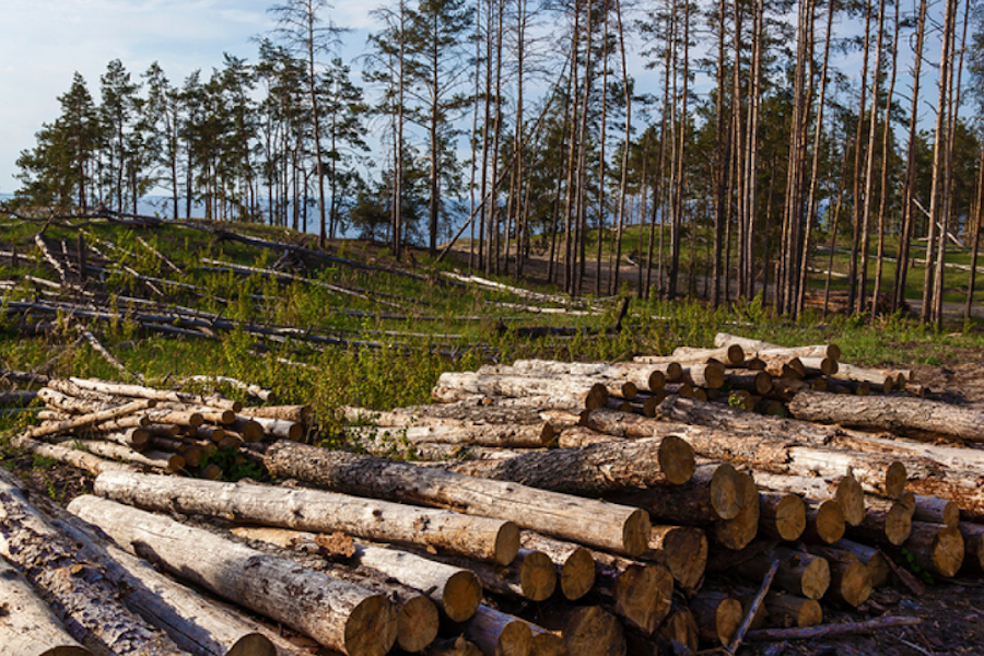 construction and engineering marketing agency texas